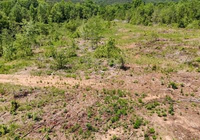 581 AFM Big Mountain Creek Photo 16