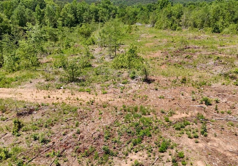 581 AFM Big Mountain Creek Photo 16