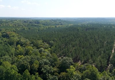 582 Cabin Creek Photo 18