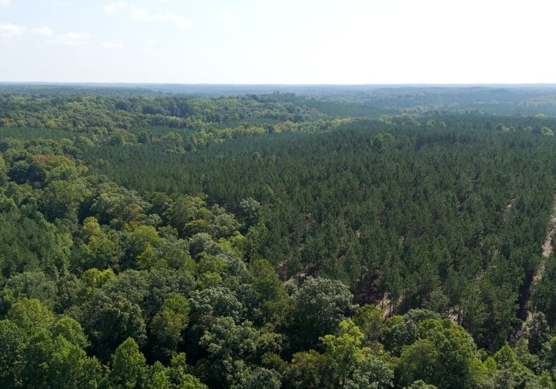 582 Cabin Creek Photo 18