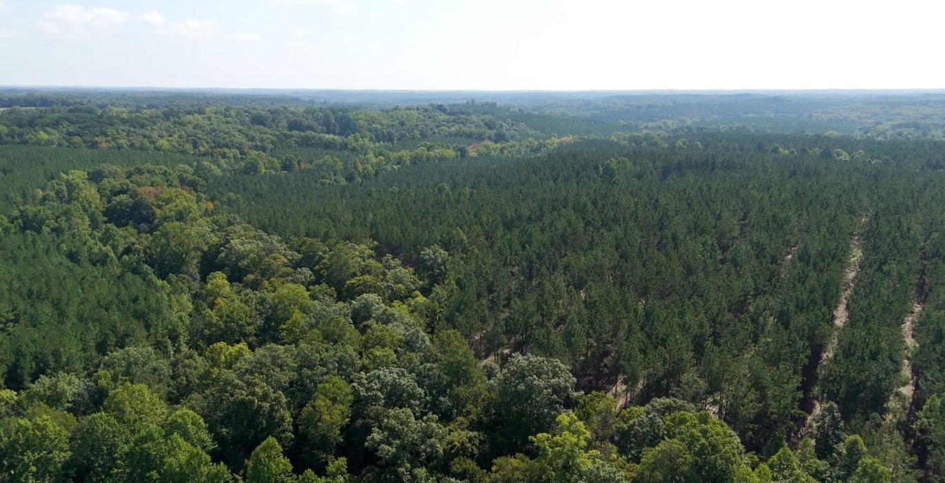 582 Cabin Creek Photo 18