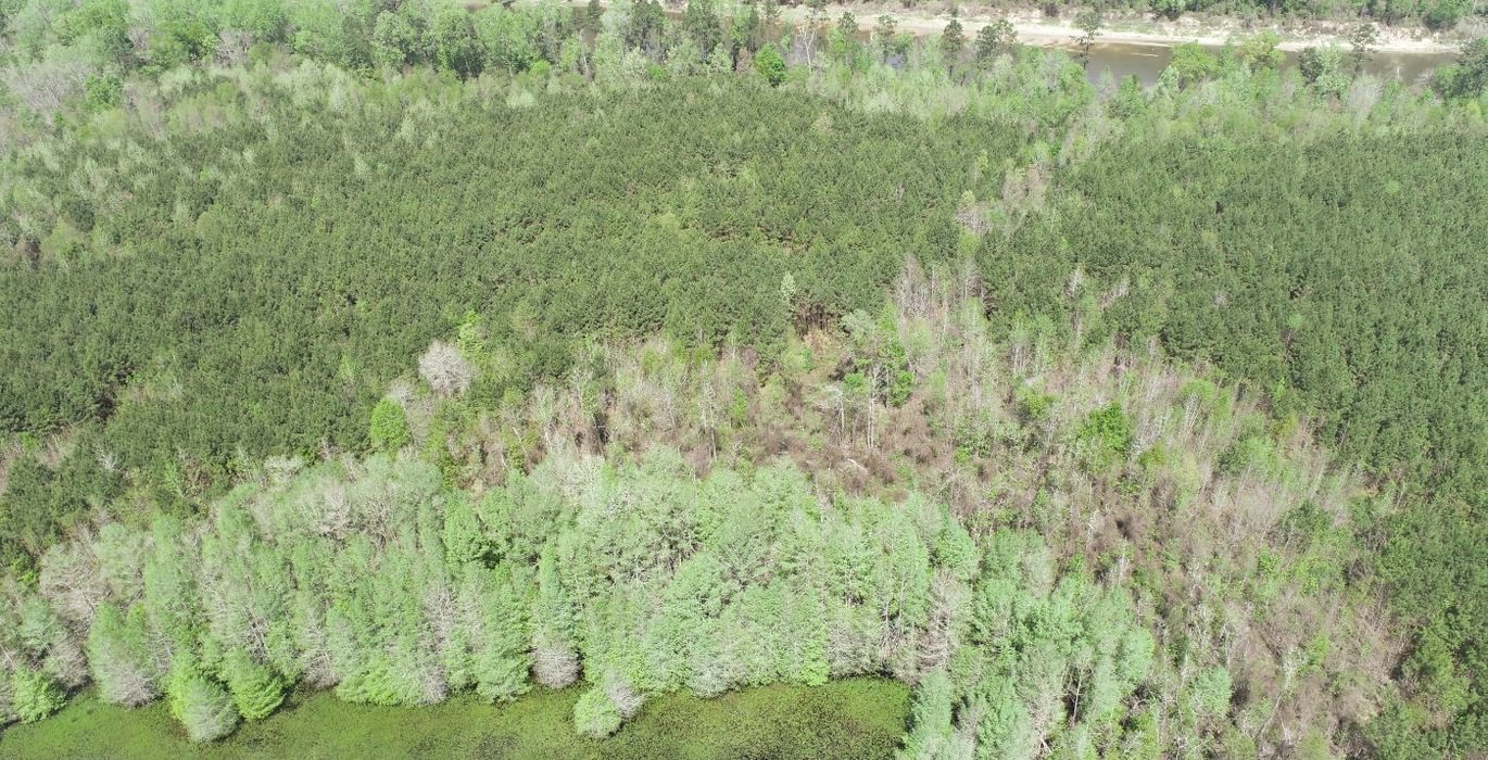 582 DJI 0407