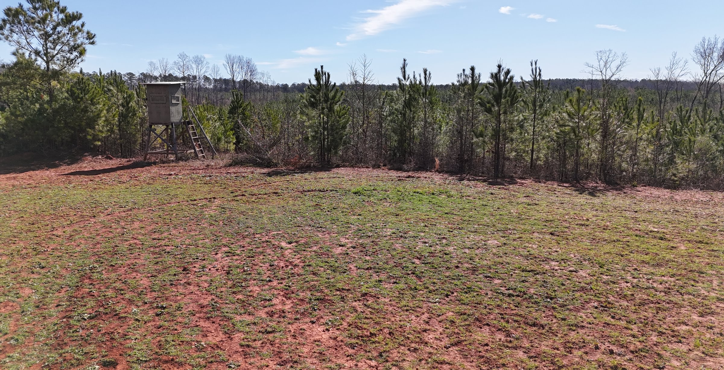 Photo 11 of Wolf Creek - Sportsman Tract, 182 acres, Jasper County, Georgia