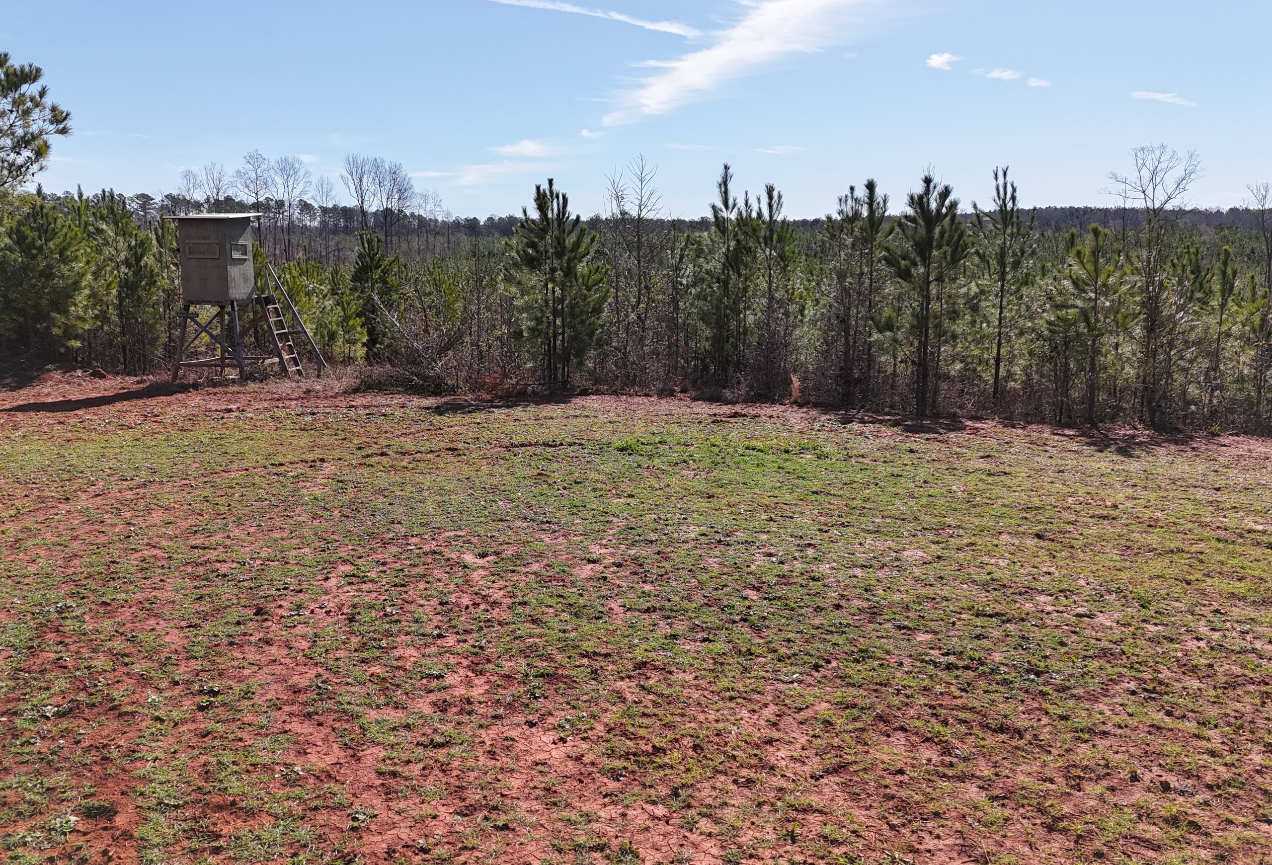 Photo 11 of Wolf Creek - Sportsman Tract, 182 acres, Jasper County, Georgia