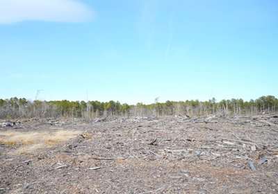 583 Church Hill pic3