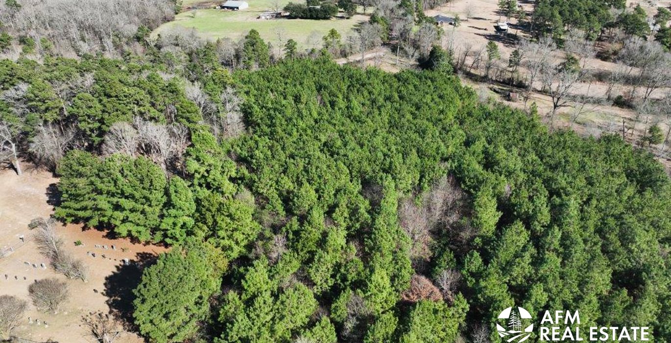 583 DJI 20250201142814 0020 V