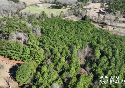 583 DJI 20250201142814 0020 V