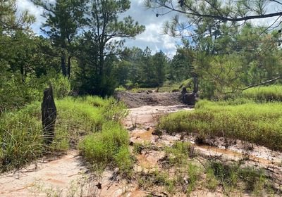 583 gum springs 13
