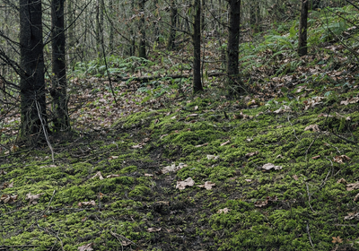 584 Chat GPT Image Jan 13 2026 at 05 05 16 PM