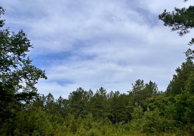584 IMG 7228