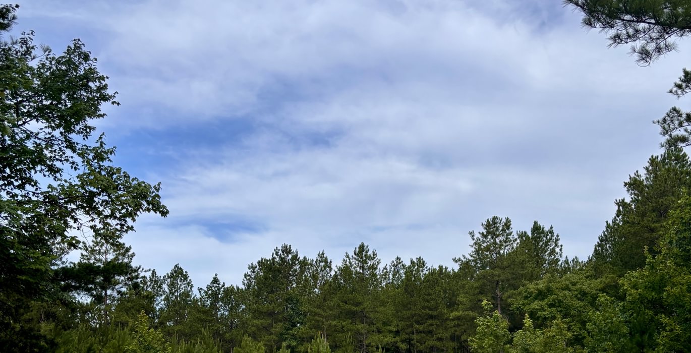 584 IMG 7228