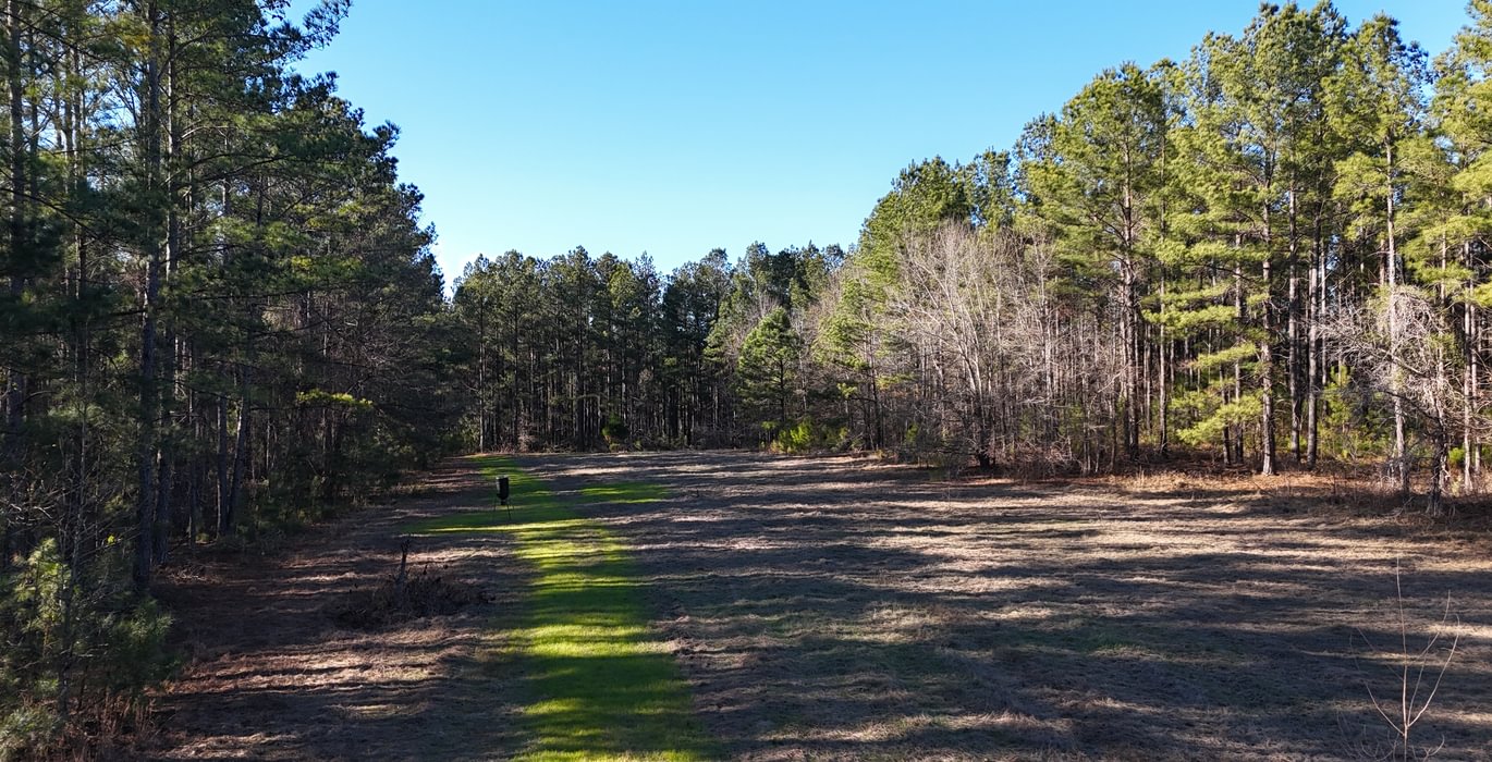 585 DJI 20260115155642 0098 D