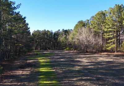 585 DJI 20260115155642 0098 D