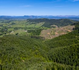 585 Overview 5