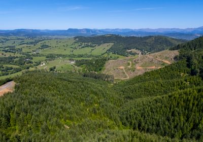 585 Overview 5