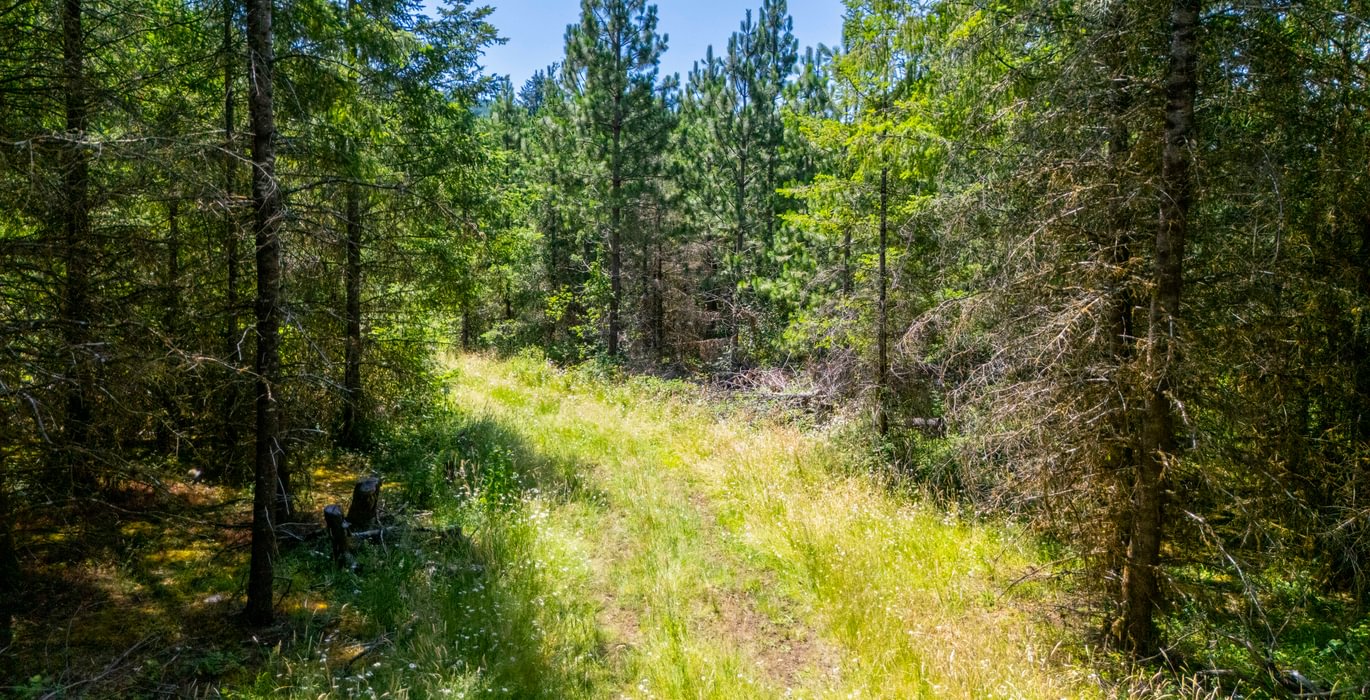 585 Road 6