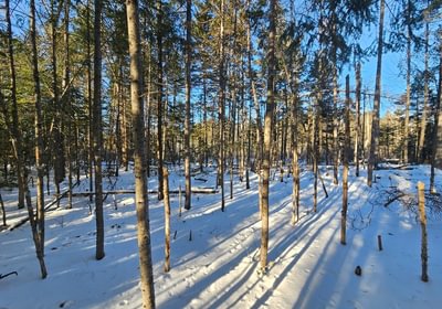 586 1 Lot off Emery Farm Road 2