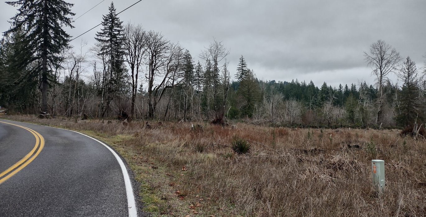 586 IMG 20260114 130525524 HDR