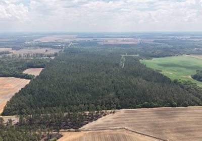587 DJI 20250508122846 0022 D