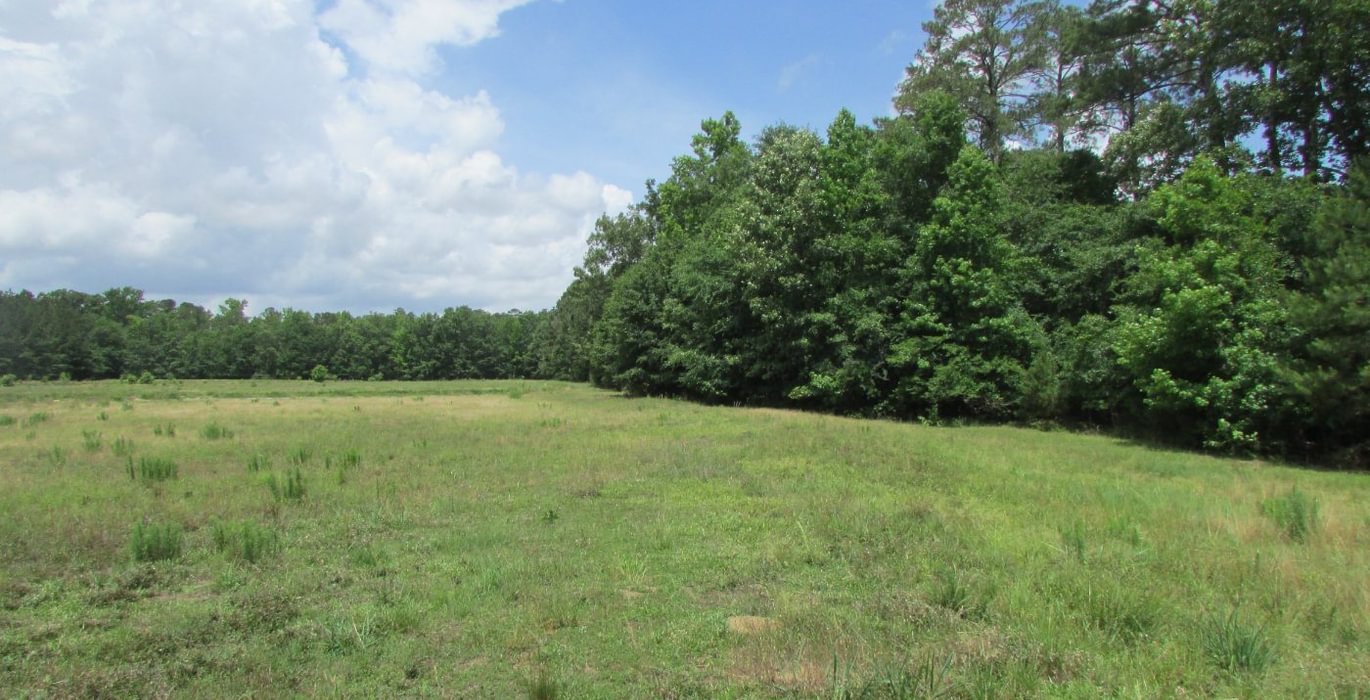 588 IMG 1095