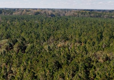 589 AFM Bladen 339 Photo 12