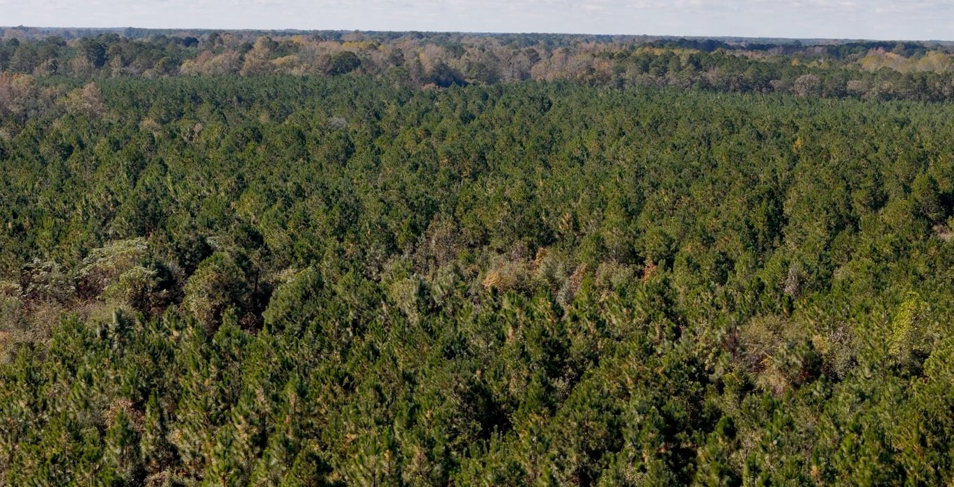 589 AFM Bladen 339 Photo 12