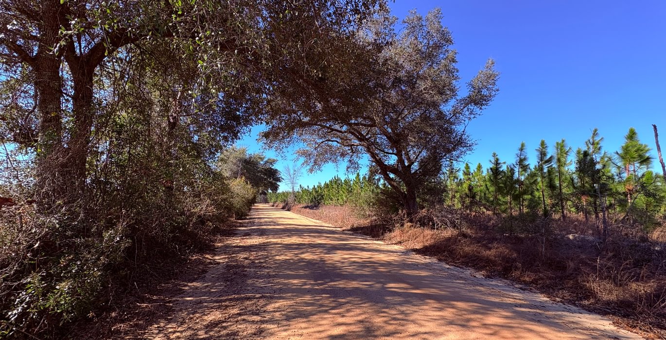 58 gibson roads 7