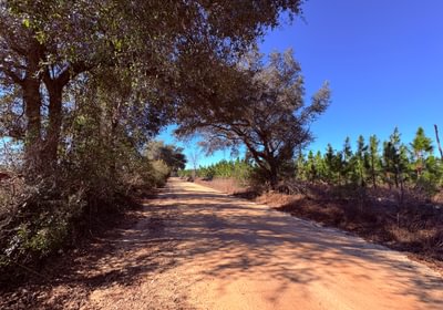 58 gibson roads 7