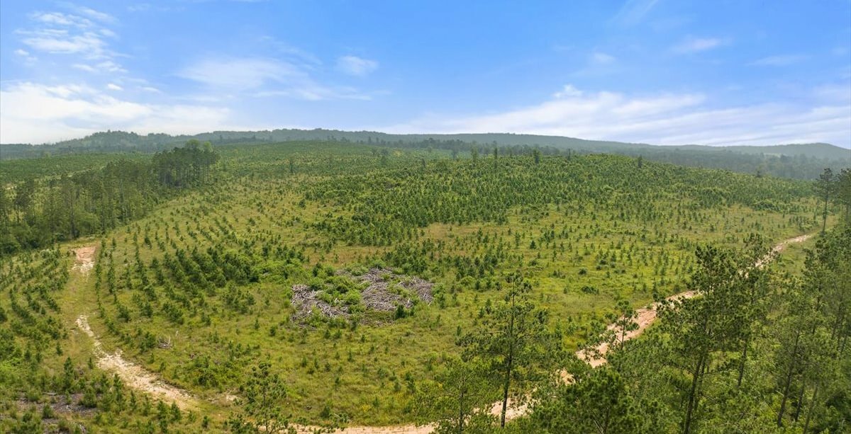 Photo 14 of L Jordan, 574 acres, Cherokee County, Texas