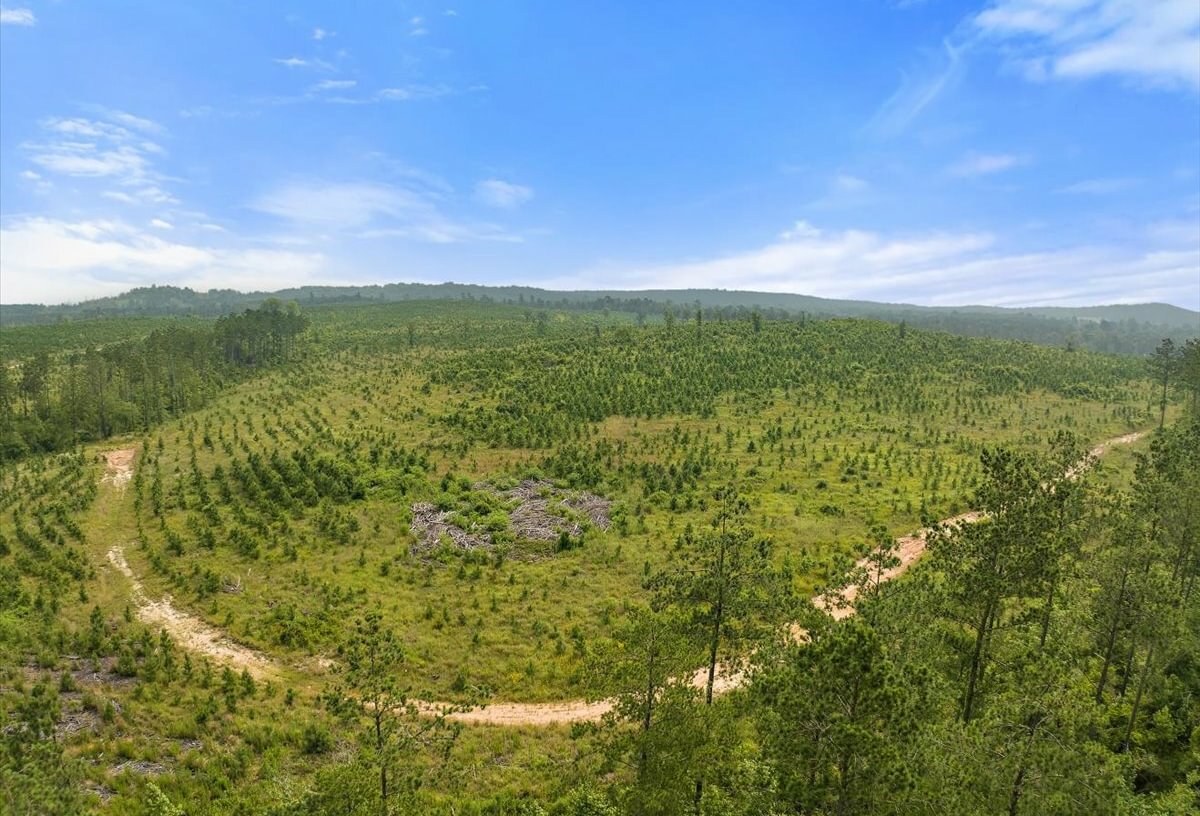 Photo 14 of L Jordan, 574 acres, Cherokee County, Texas