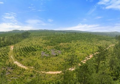 59 L Jordan Tract