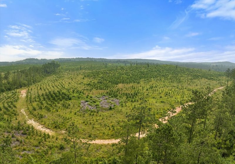 Photo 14 of L Jordan, 574 acres, Cherokee County, Texas