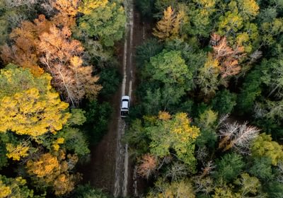 590 DJI 20251106165027 0496 D 1