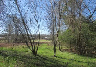 590 IMG 0574