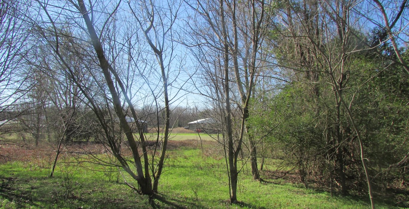 590 IMG 0574