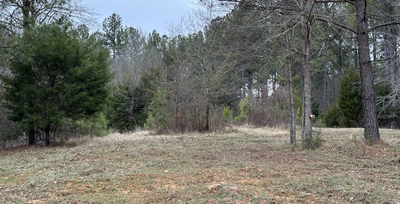 593 IMG 9089