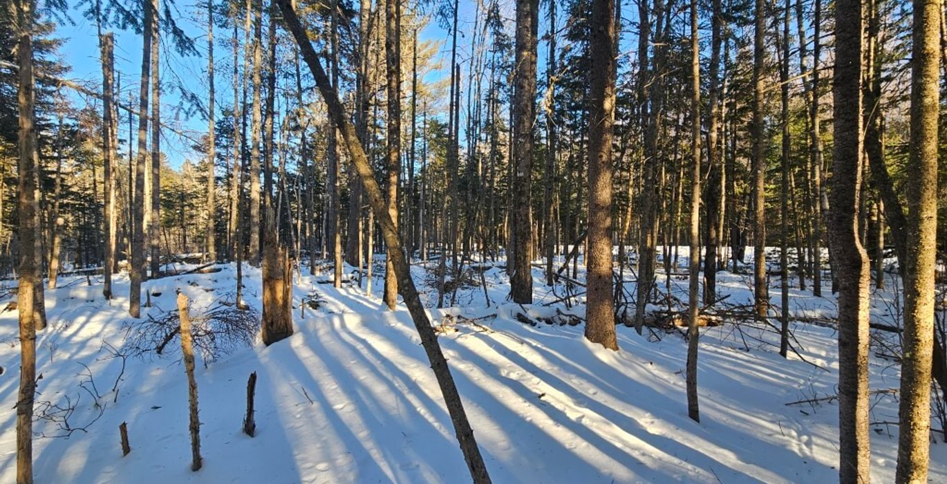 594 2 Lot off Emery Farm road