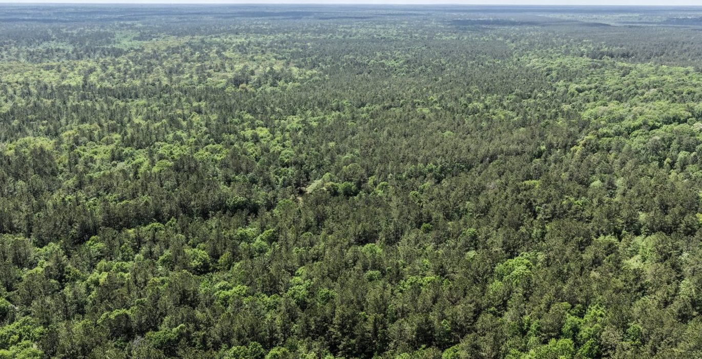 594 DJI 20260415144243 0149 D