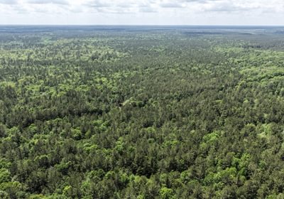 594 DJI 20260415144243 0149 D