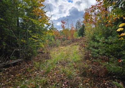595 Snowmobile trail at West boundary