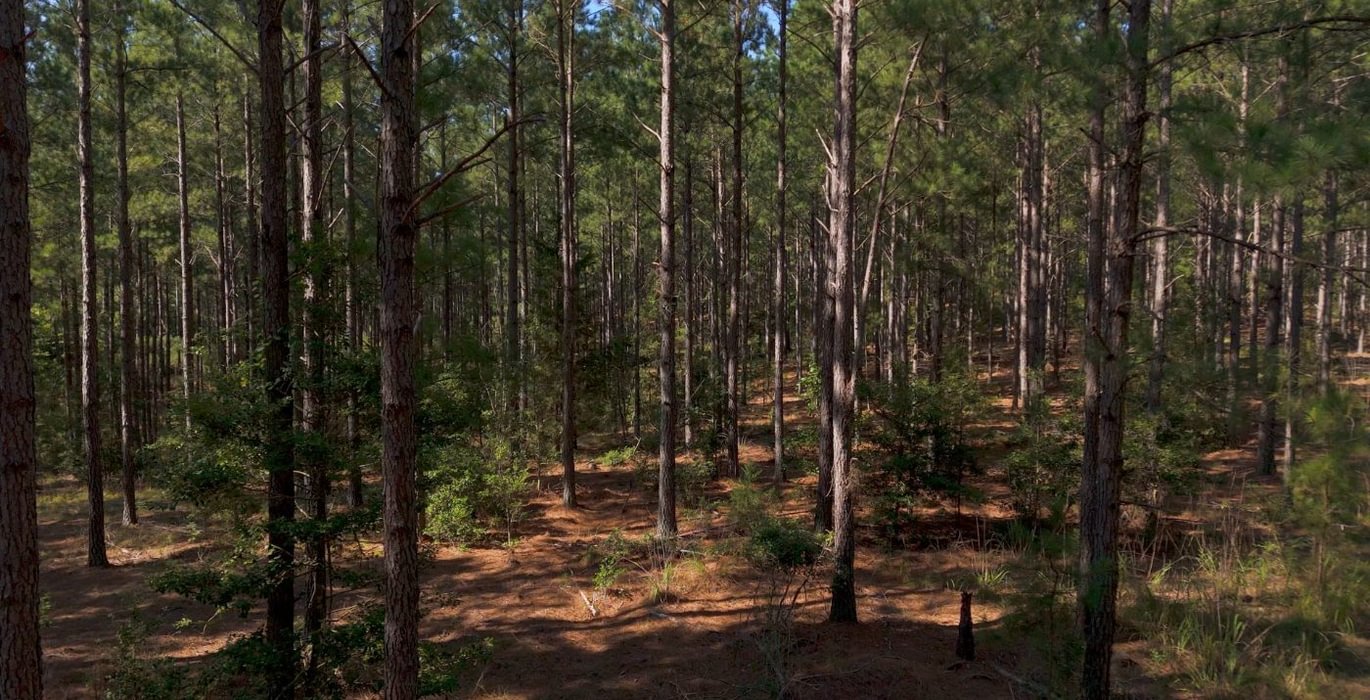 596 Cabin Creek Photo 4