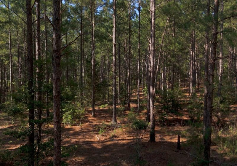 596 Cabin Creek Photo 4
