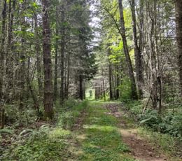 596 IMG 20250710 122506408 HDR 1