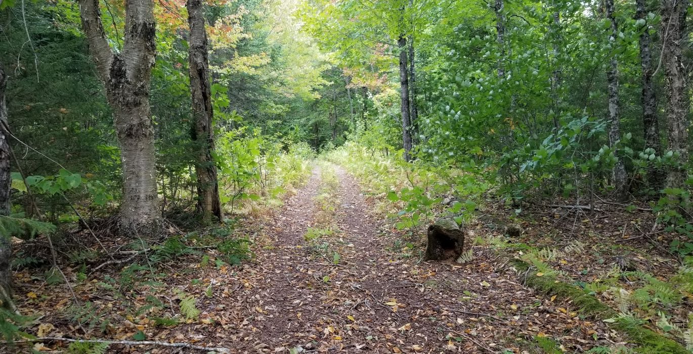 597 ATV trail at end of Beaver Lane