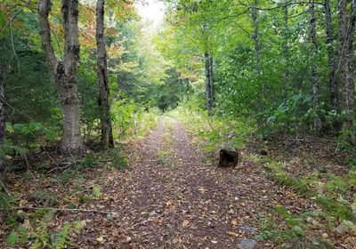 597 ATV trail at end of Beaver Lane