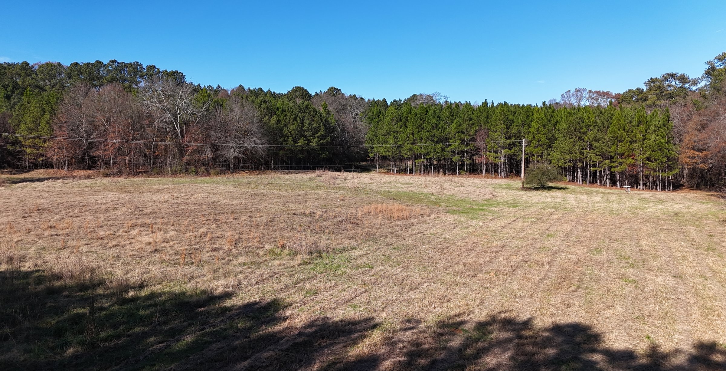 Photo 1 of Paradise Farms, 46.84 acres, Henry County, Georgia