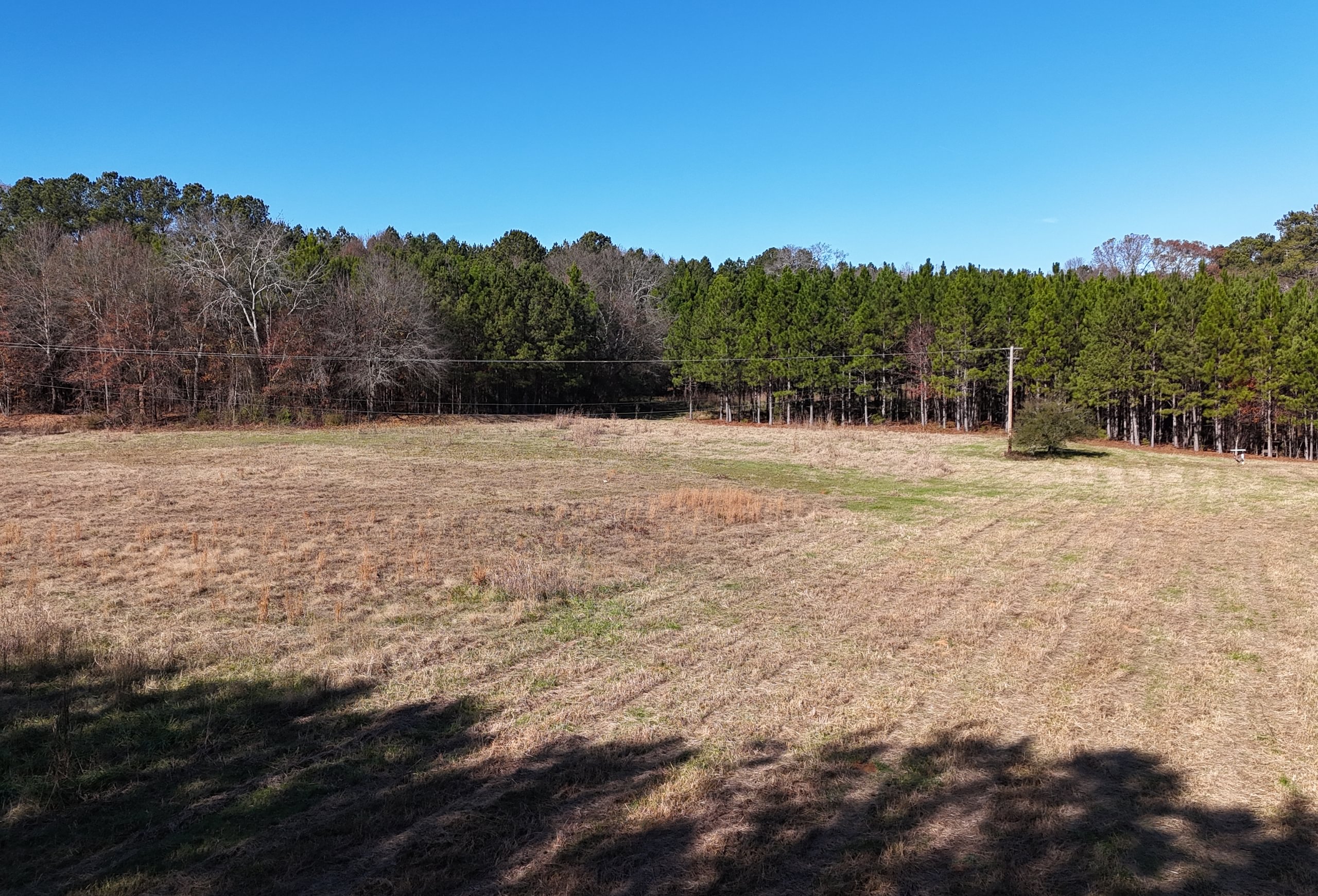 Photo 1 of Paradise Farms, 46.84 acres, Henry County, Georgia