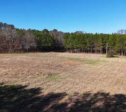 597 dji fly 20241219 132748 0085 1734838582426 photo