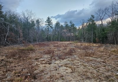 598 Old log yard Birch Drive