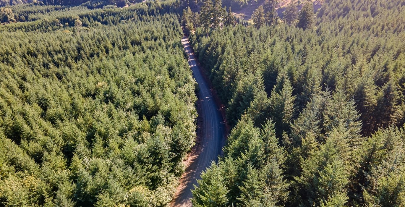 599 DJI 0873 HDR25